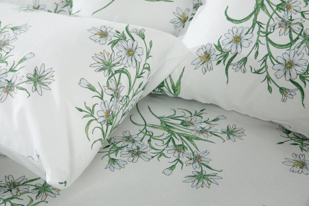 2612576f-ab2e-4b62-9172-1b33ed122525